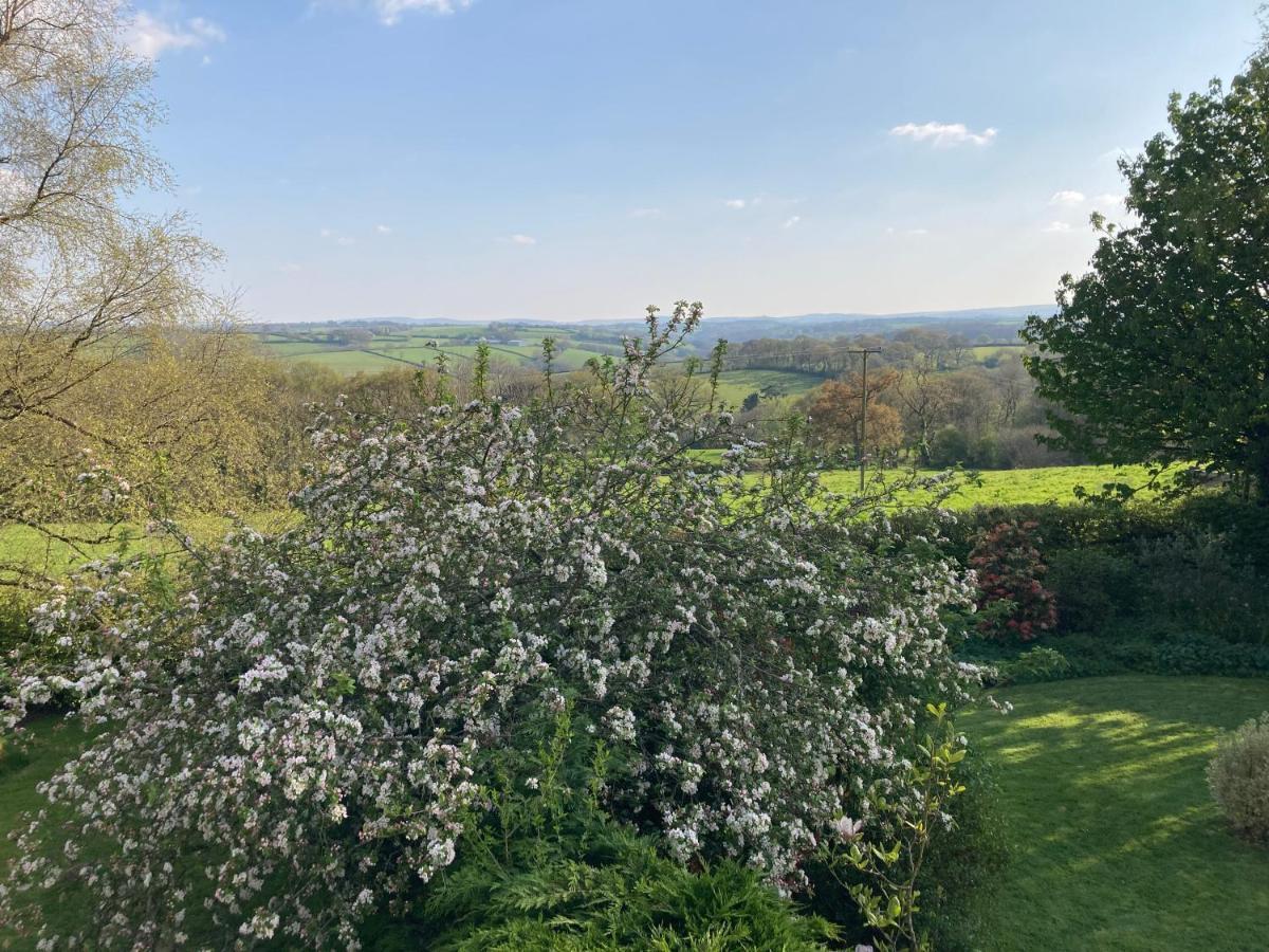 East Hillerton House ξενώνας Crediton Εξωτερικό φωτογραφία